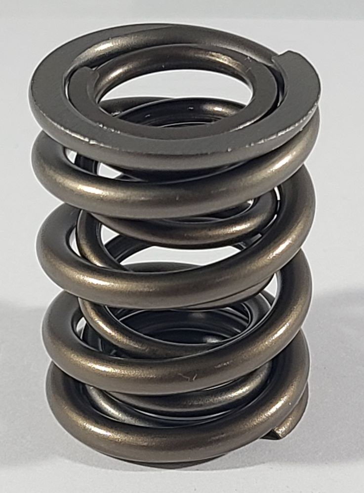 Dual valve spring